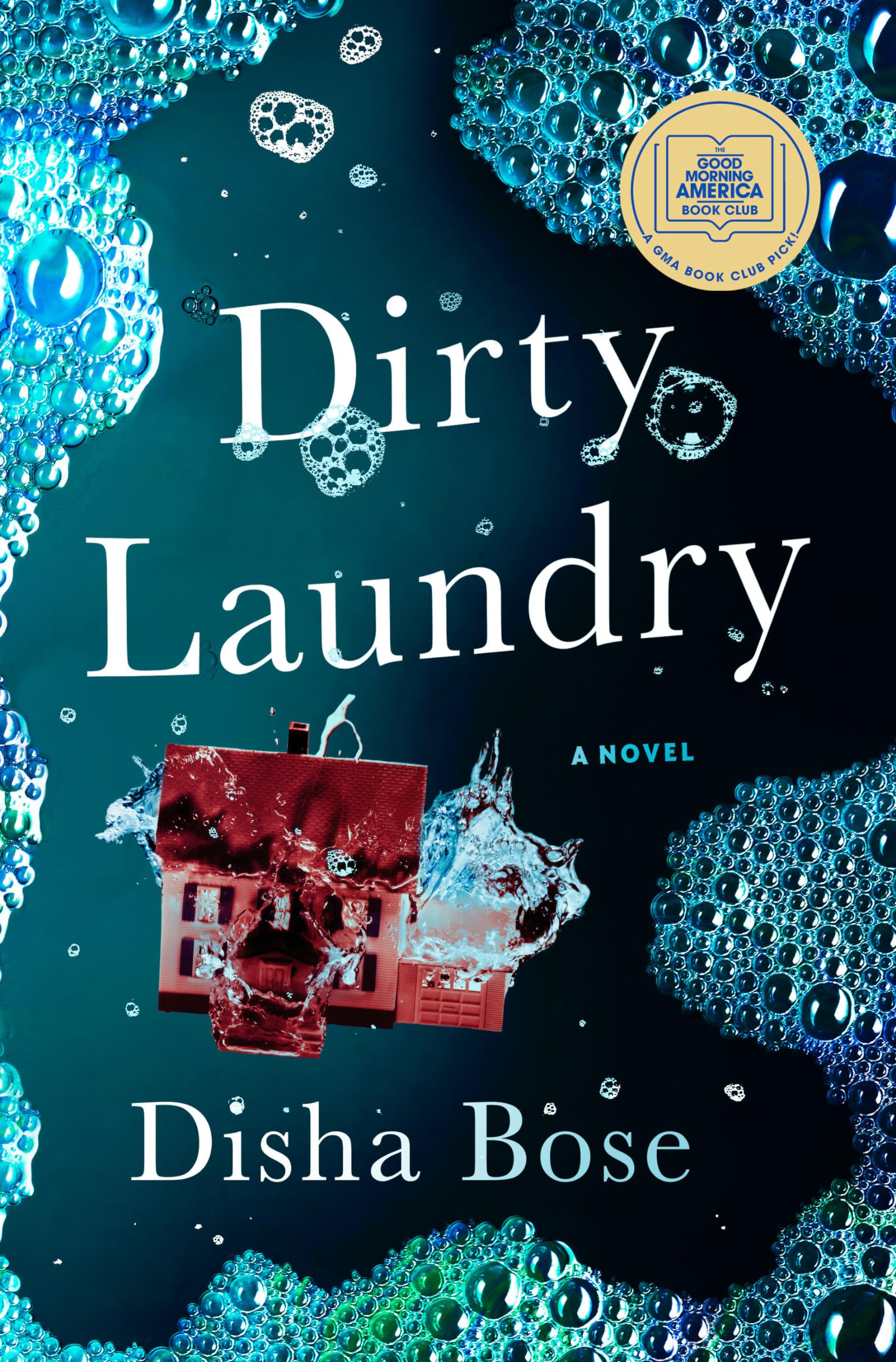 Dirty Laundry: A Novel + Mystery + Adult Readers + Late Night Reading + Intricate Plot + Hardcover + Thriller